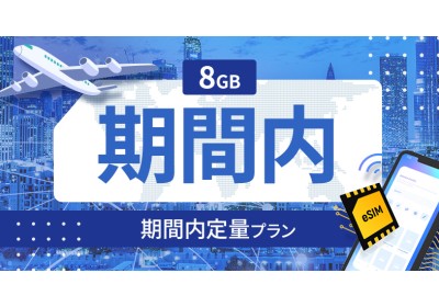 メキシコ 8GB / 期間内